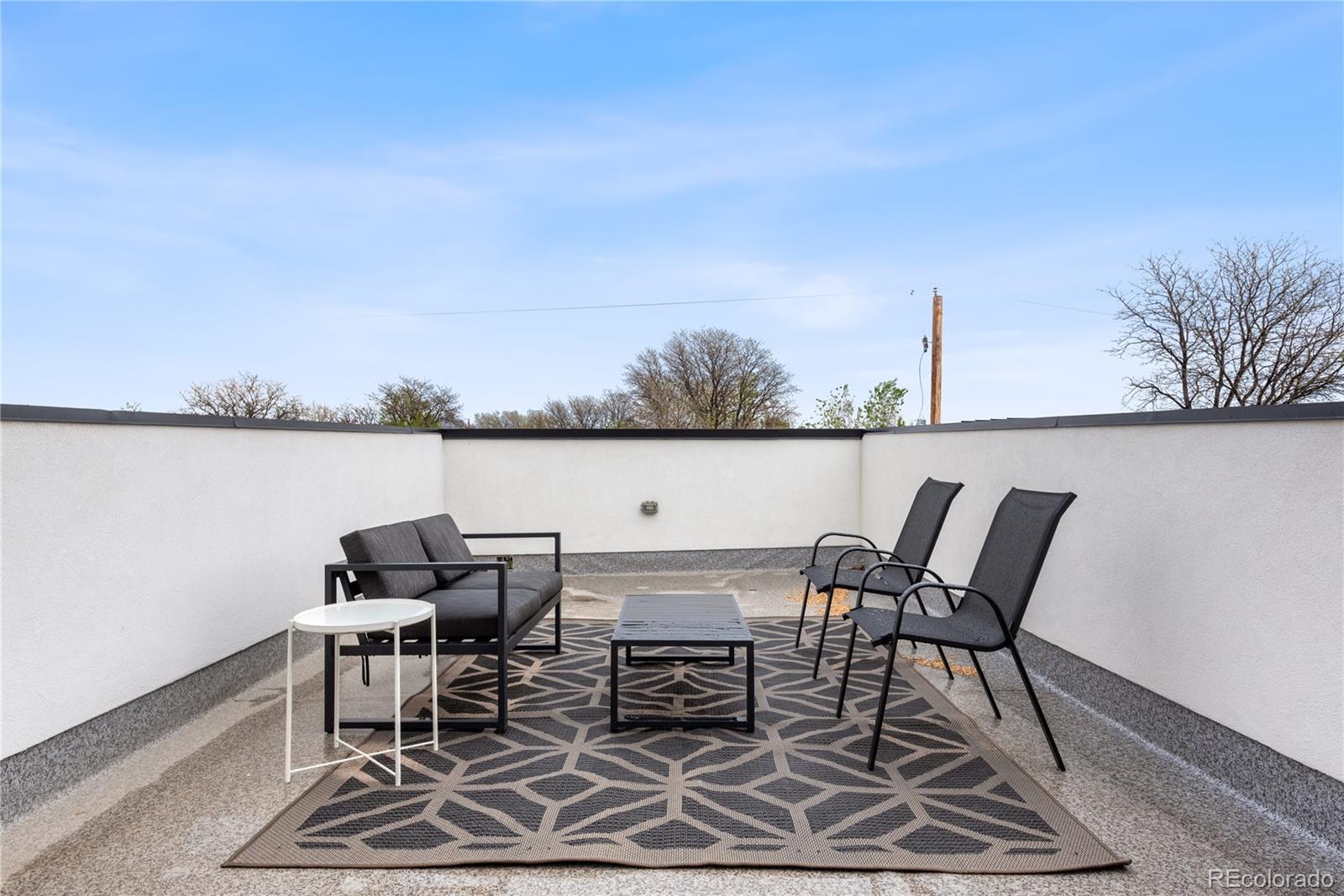 MLS Image #32 for 1308  stuart street,denver, Colorado