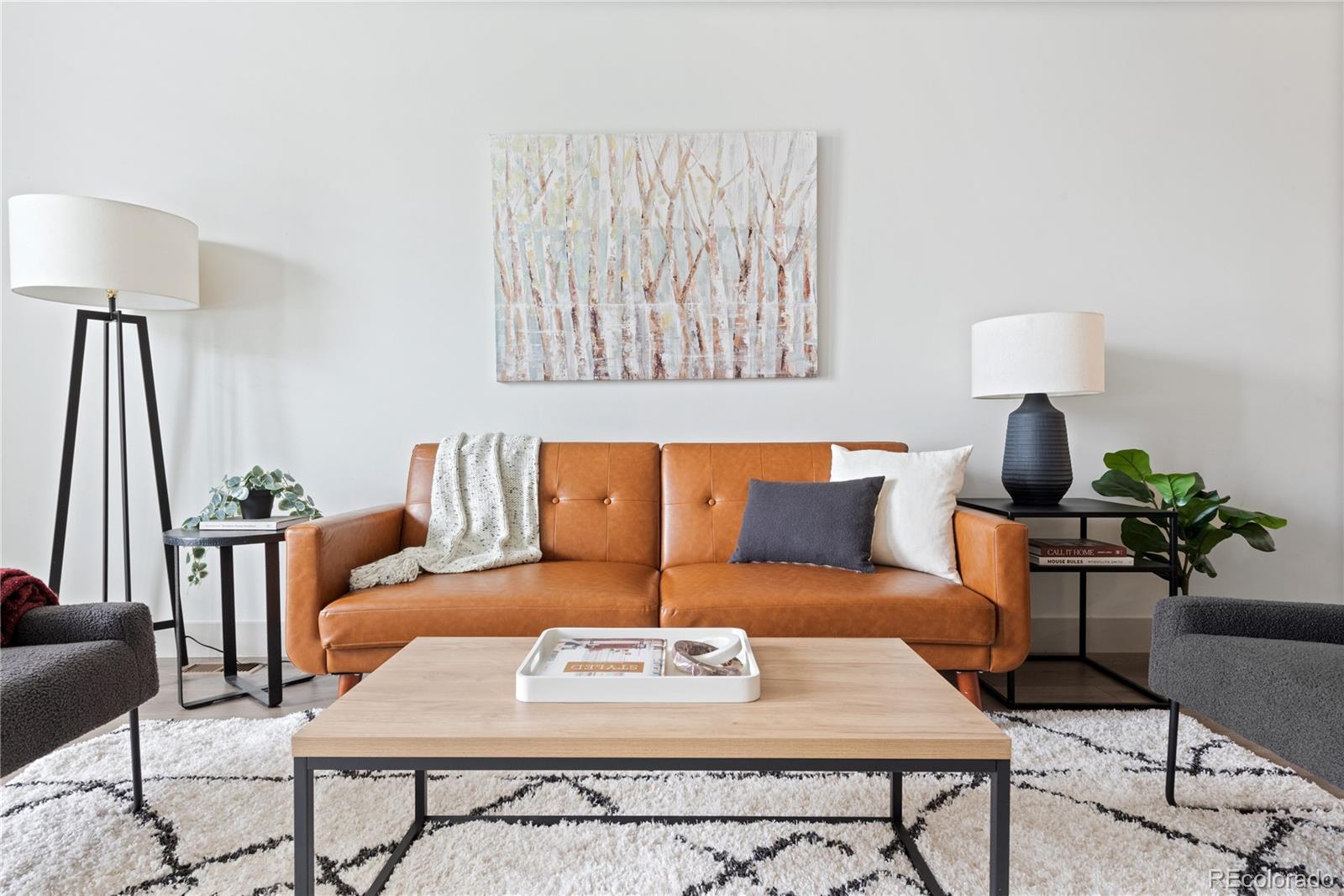 MLS Image #5 for 1308  stuart street,denver, Colorado