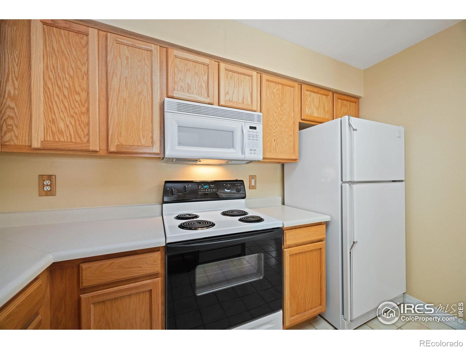 MLS Image #10 for 1419  red mountain drive,longmont, Colorado