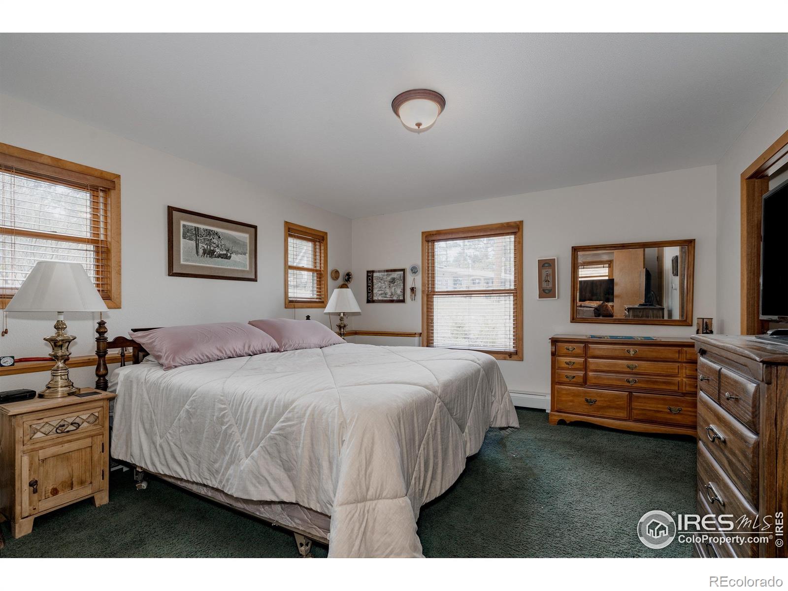 MLS Image #14 for 1026  lexington lane,estes park, Colorado