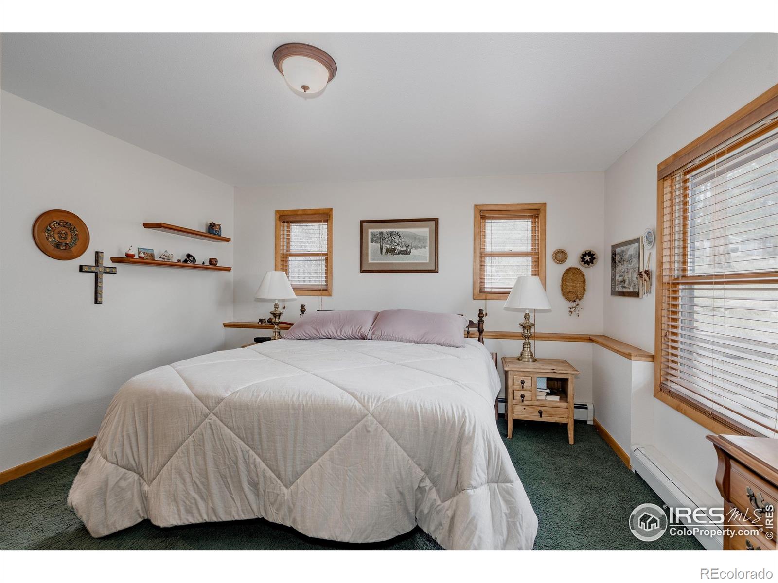 MLS Image #15 for 1026  lexington lane,estes park, Colorado
