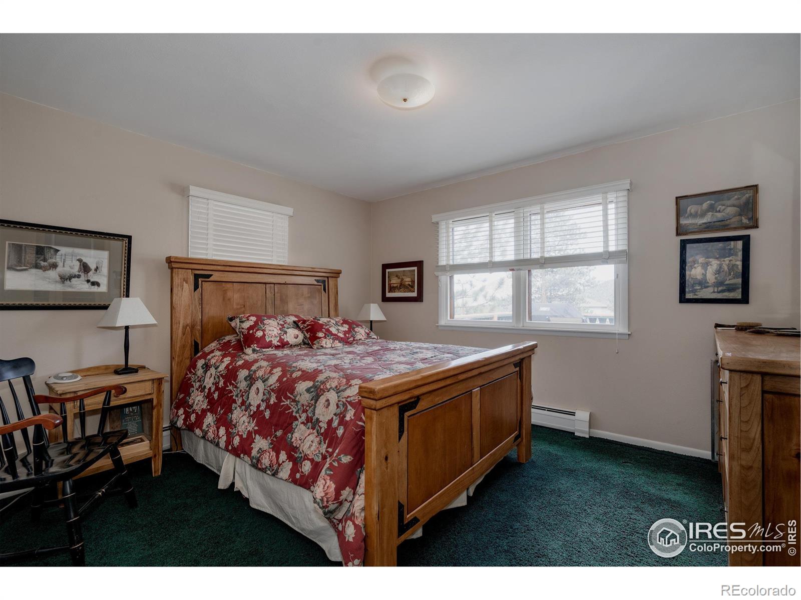MLS Image #19 for 1026  lexington lane,estes park, Colorado