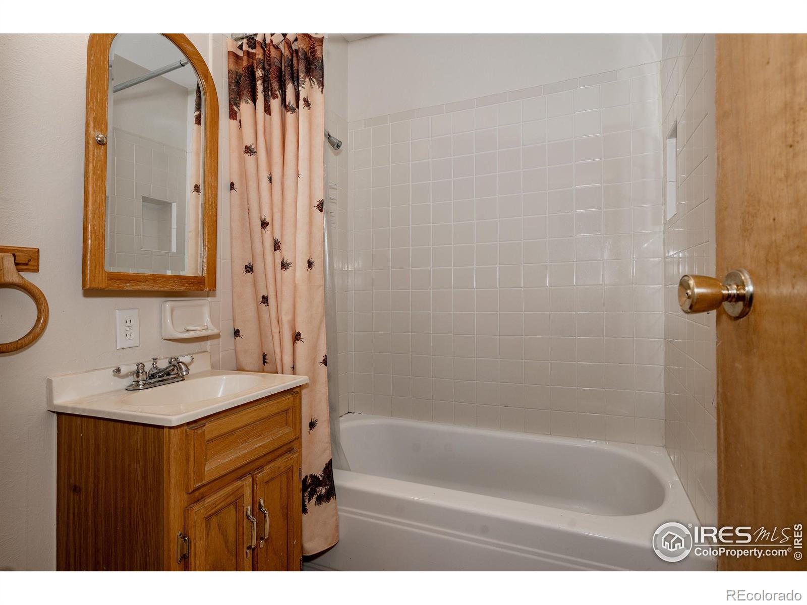 MLS Image #21 for 1026  lexington lane,estes park, Colorado