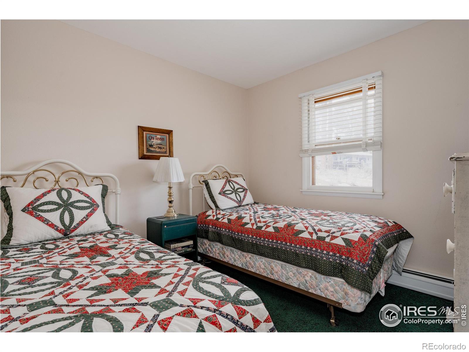 MLS Image #22 for 1026  lexington lane,estes park, Colorado