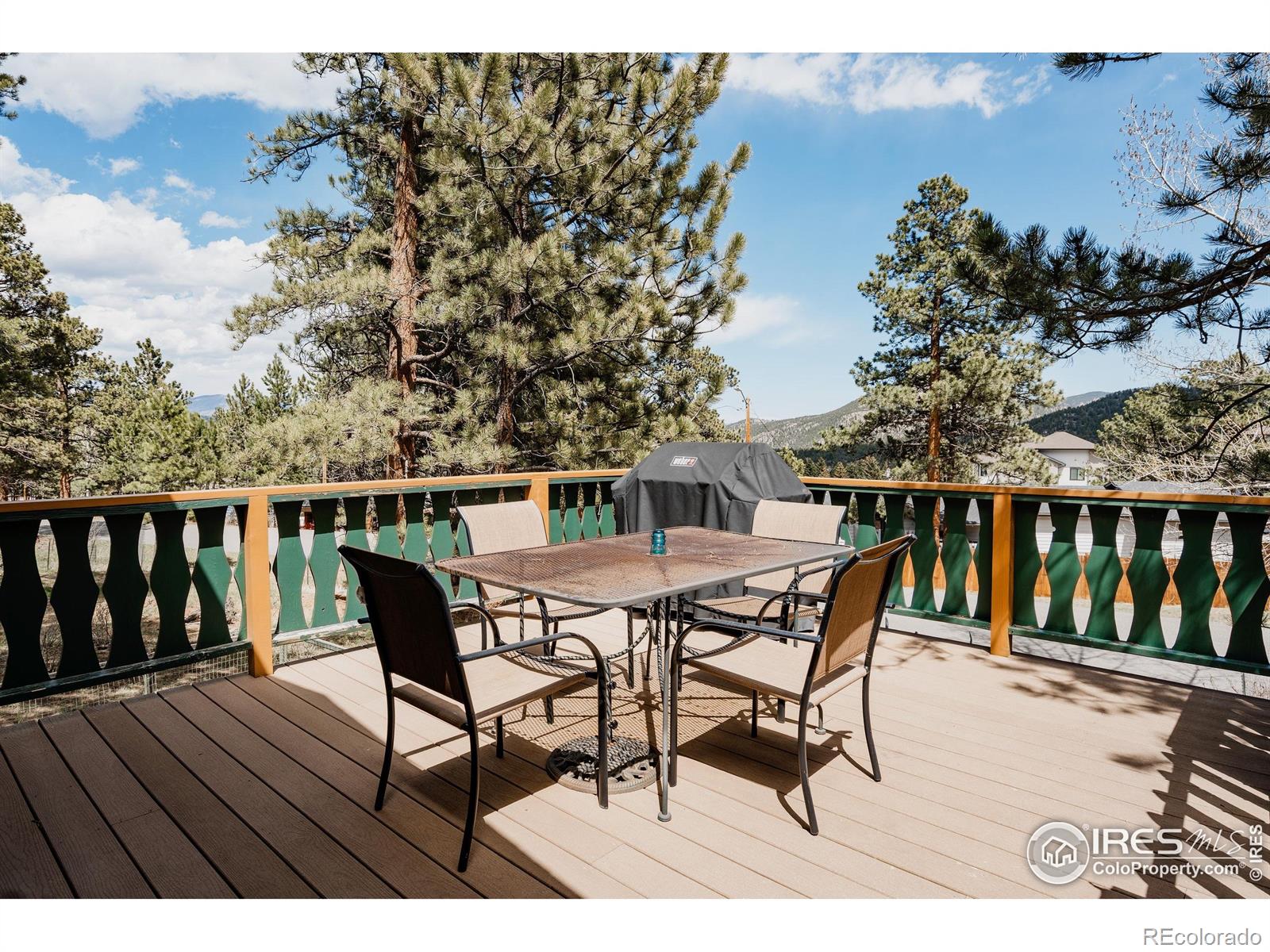 MLS Image #31 for 1026  lexington lane,estes park, Colorado