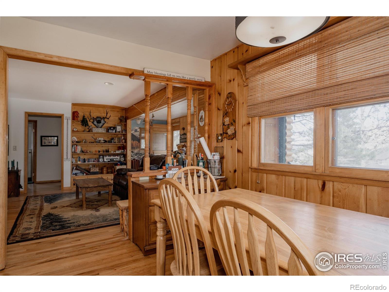 MLS Image #5 for 1026  lexington lane,estes park, Colorado