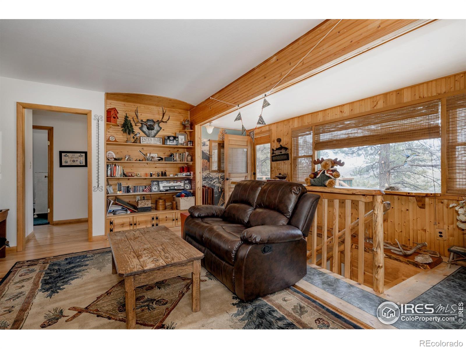 MLS Image #7 for 1026  lexington lane,estes park, Colorado