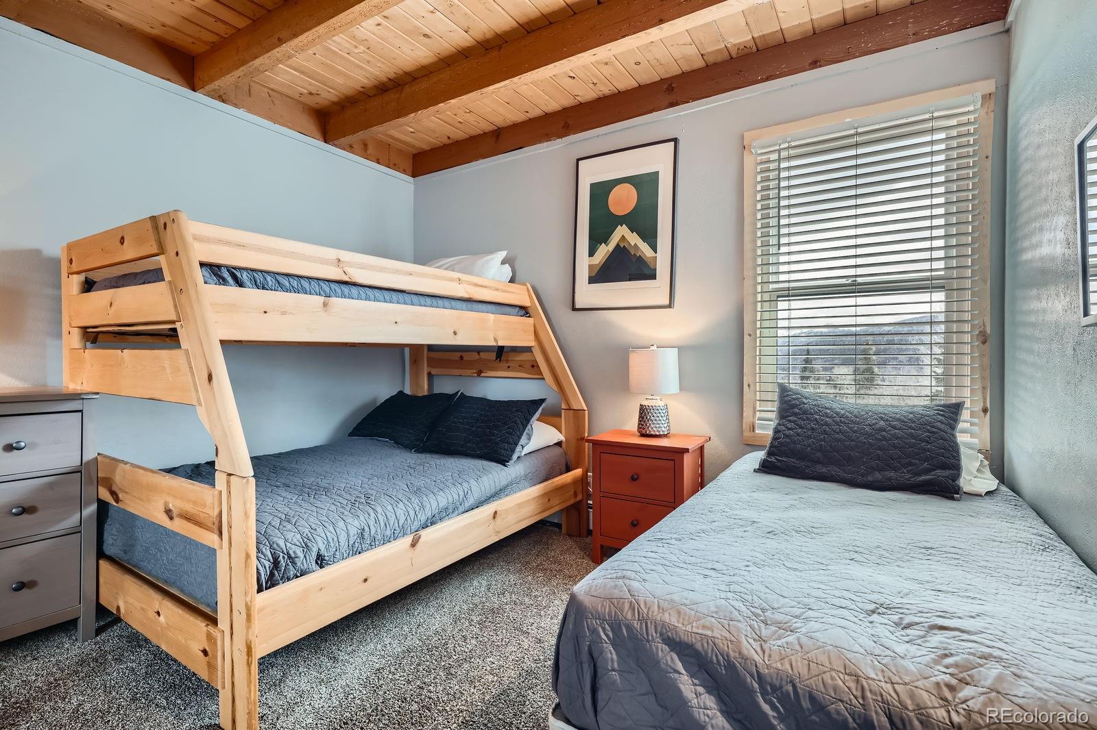 MLS Image #15 for 4200  lodge pole circle,silverthorne, Colorado