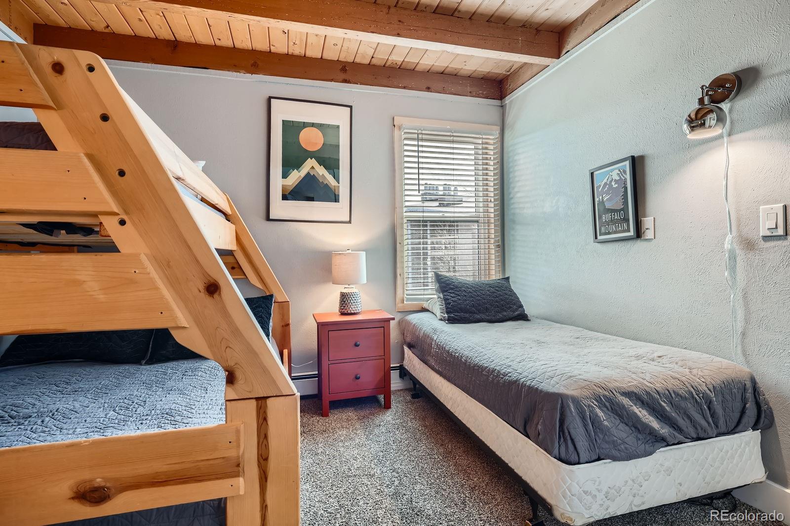 MLS Image #16 for 4200  lodge pole circle,silverthorne, Colorado