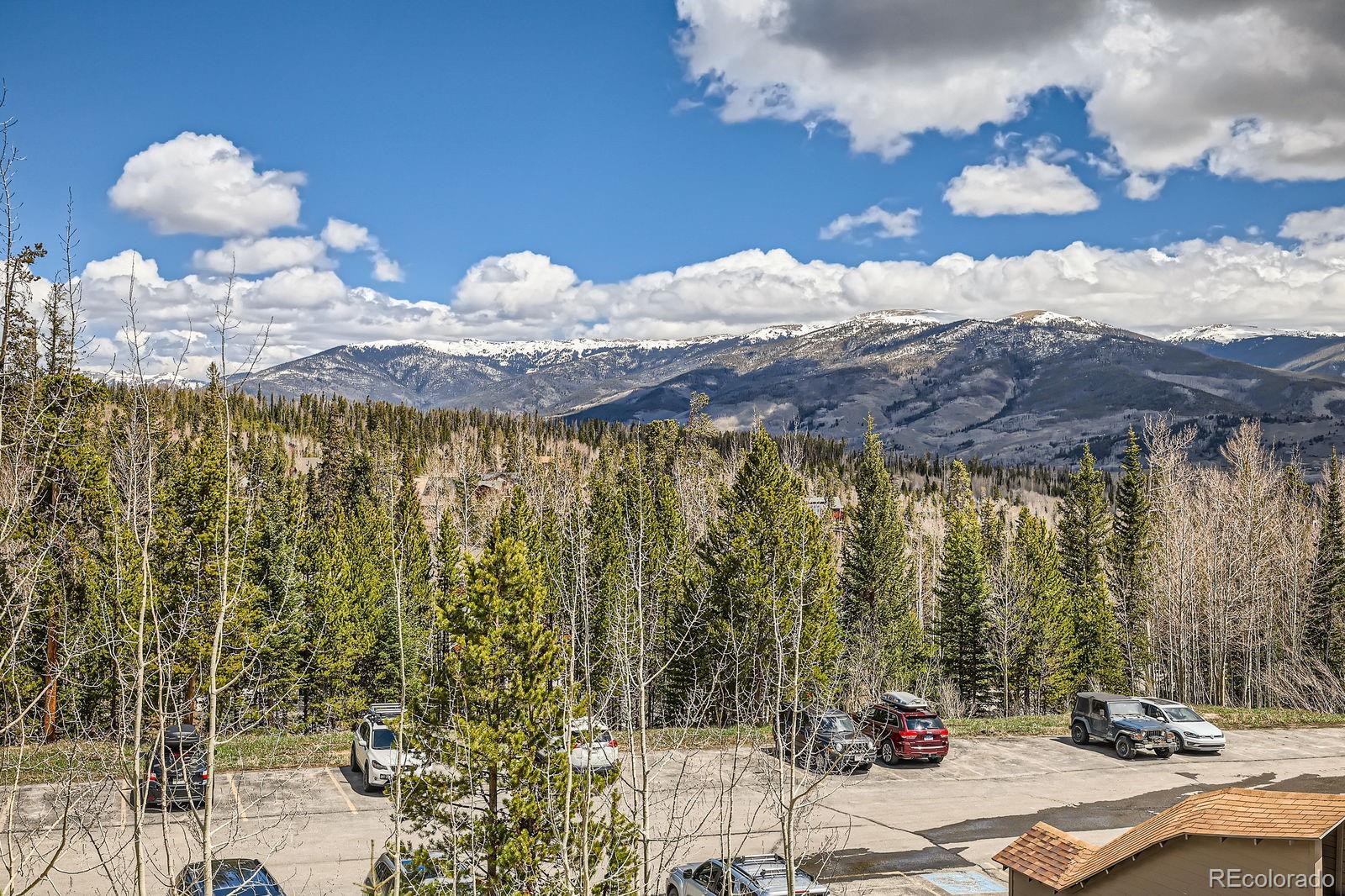 MLS Image #25 for 4200  lodge pole circle,silverthorne, Colorado