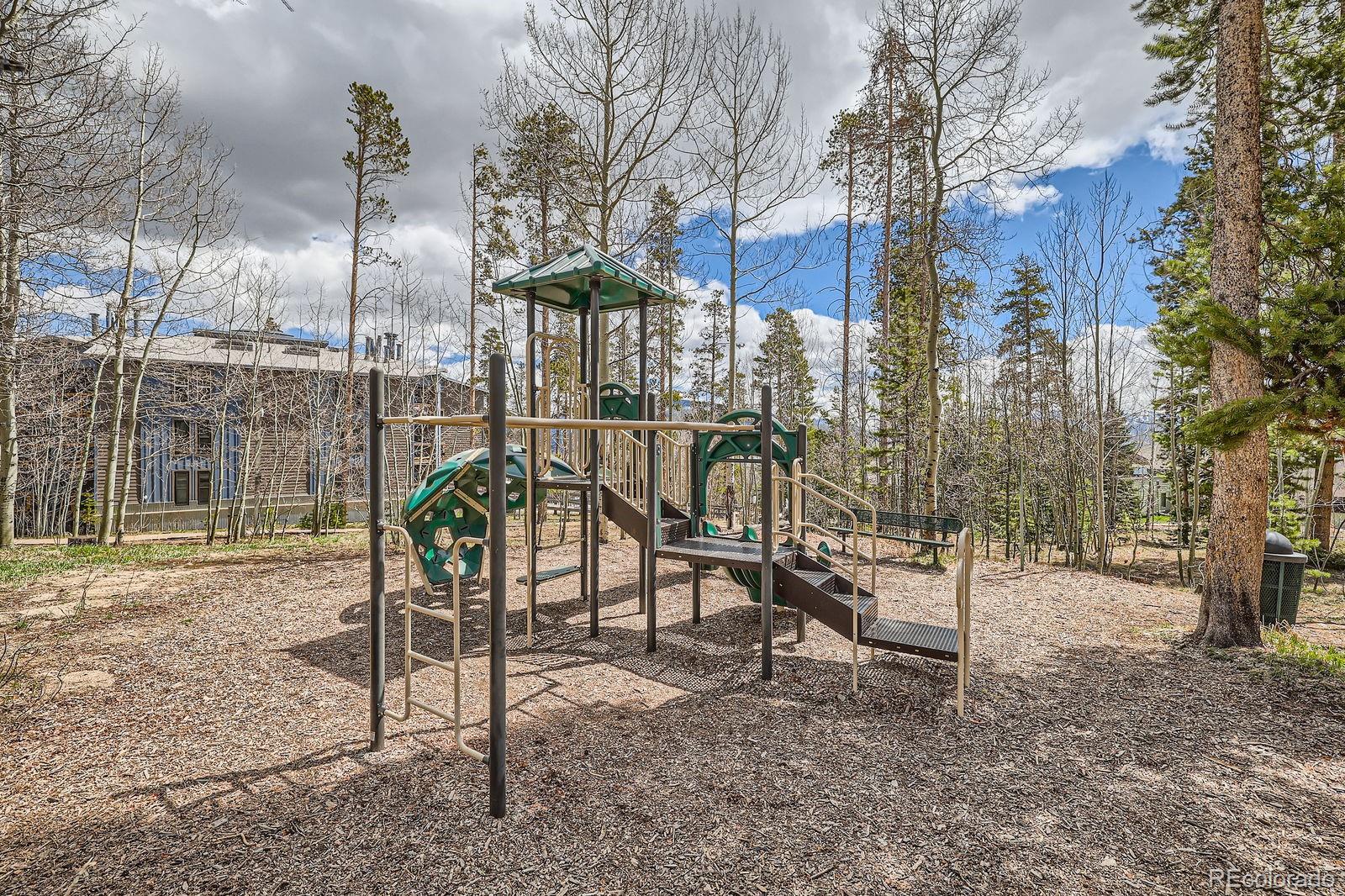 MLS Image #26 for 4200  lodge pole circle,silverthorne, Colorado
