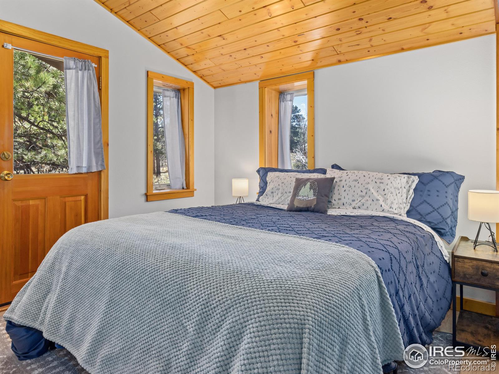MLS Image #14 for 1221  griffith court,estes park, Colorado