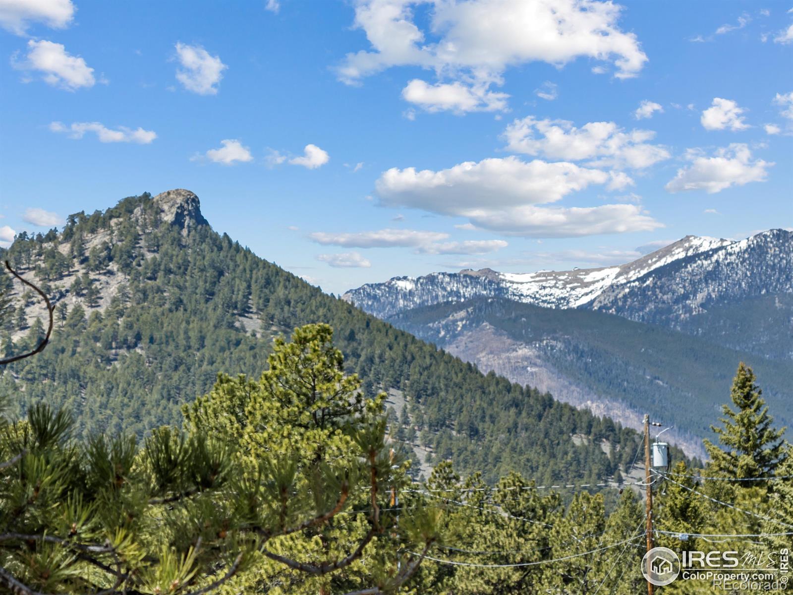 MLS Image #18 for 1221  griffith court,estes park, Colorado