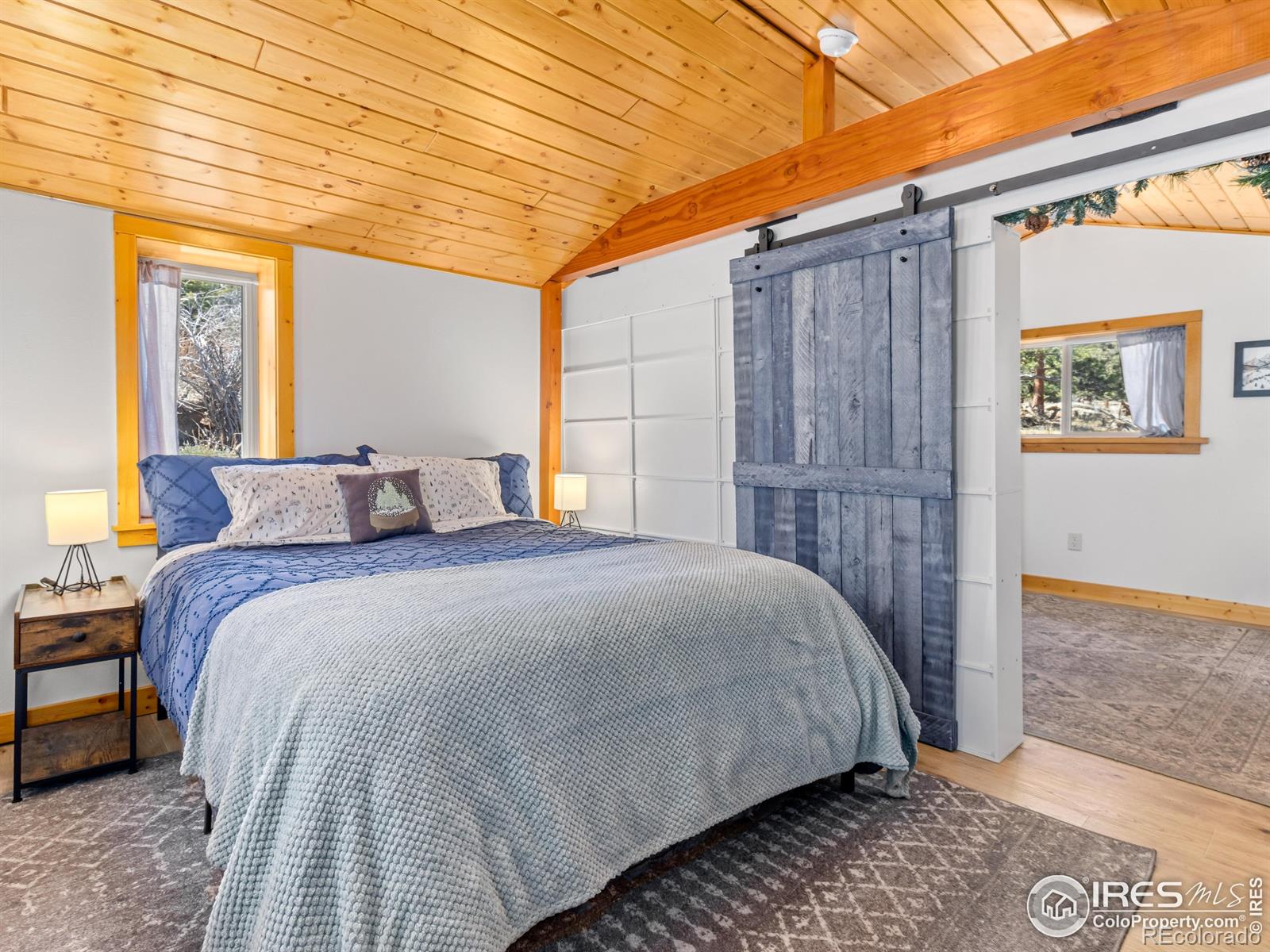 MLS Image #6 for 1221  griffith court,estes park, Colorado