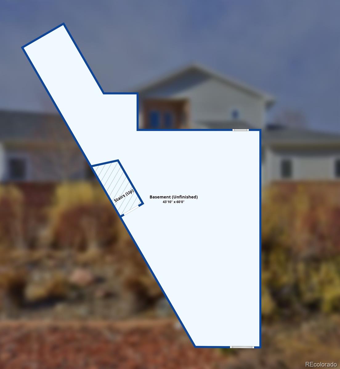 MLS Image #44 for 2161  elmwood street,berthoud, Colorado