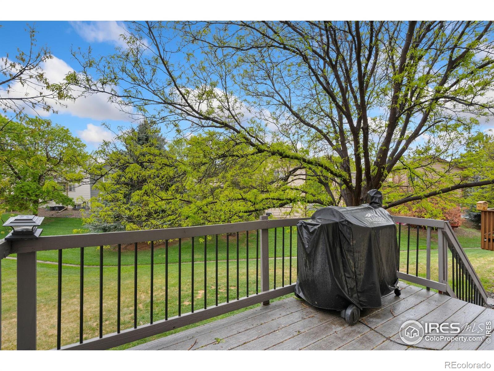 MLS Image #16 for 1038  winona circle,loveland, Colorado