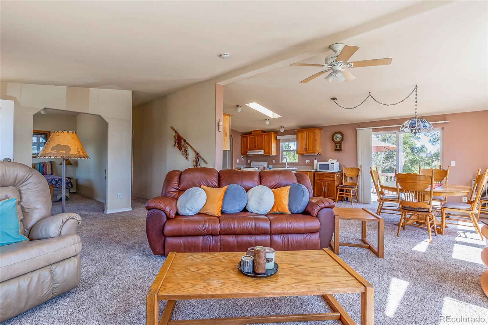 MLS Image #10 for 1258  aspen trail,hartsel, Colorado