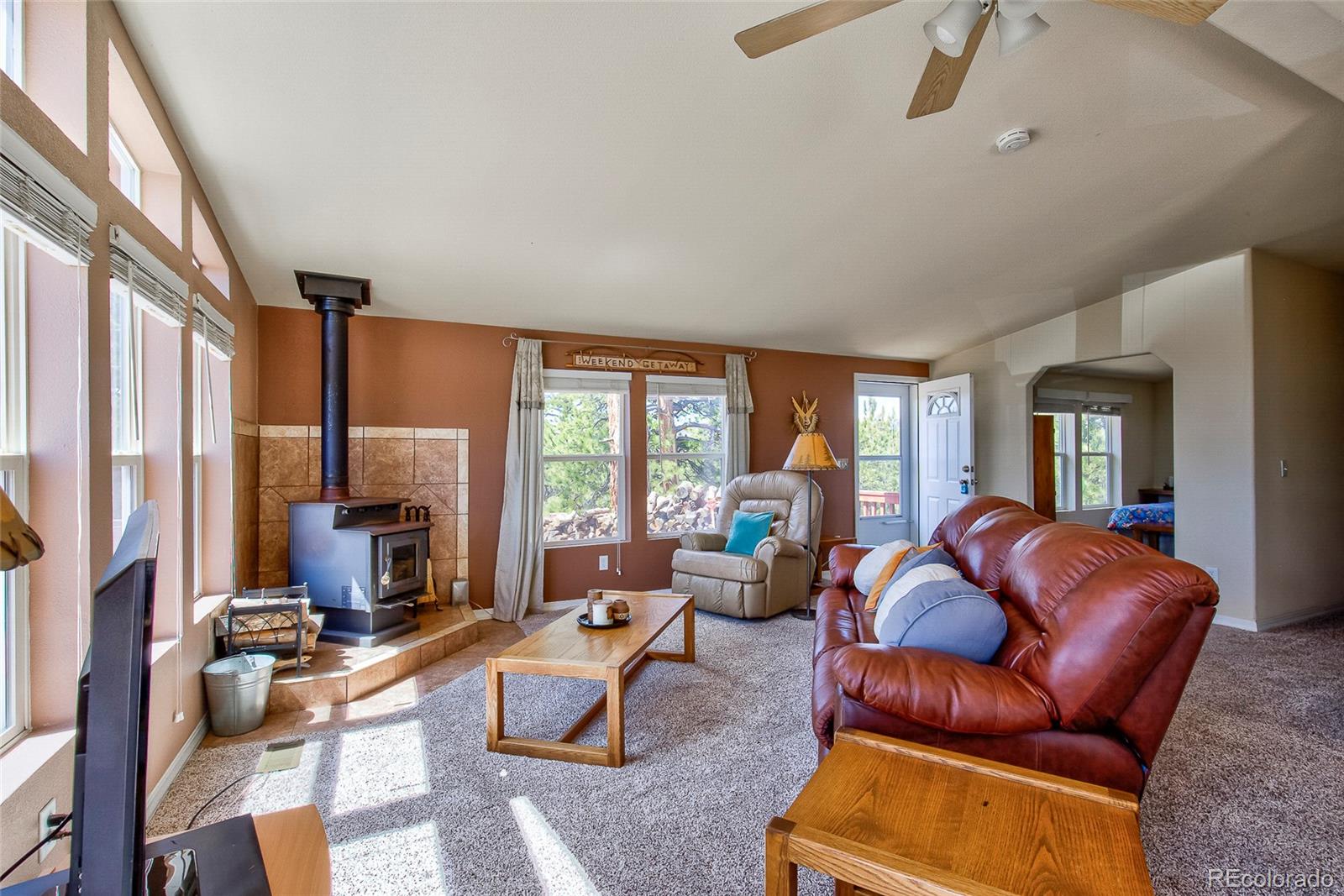 MLS Image #11 for 1258  aspen trail,hartsel, Colorado