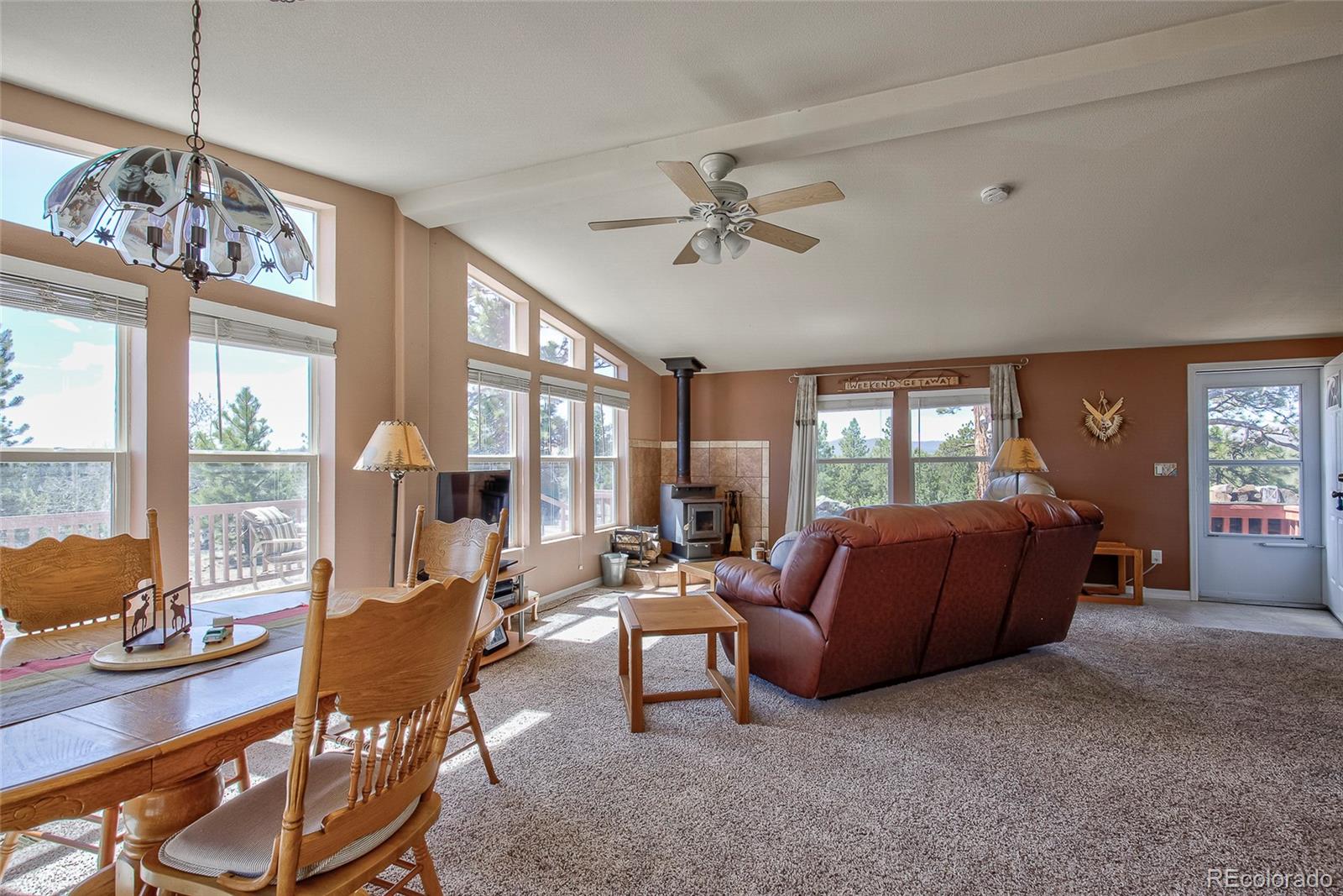 MLS Image #12 for 1258  aspen trail,hartsel, Colorado