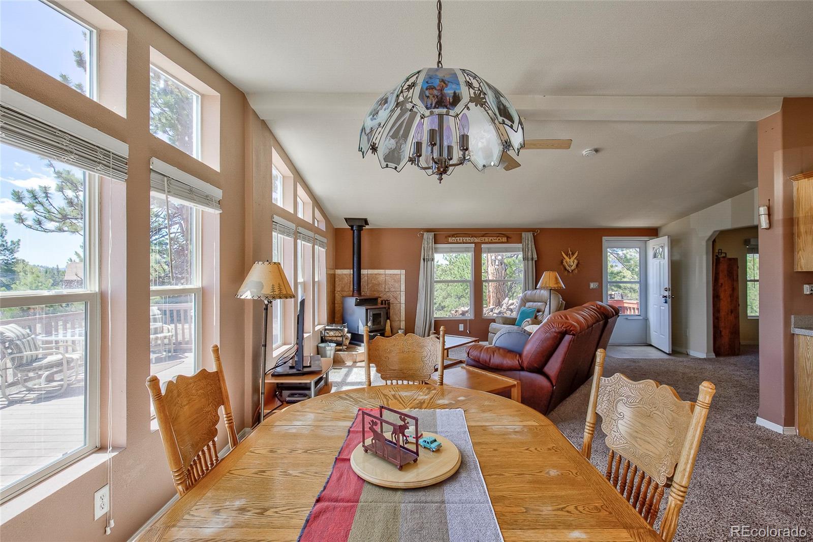 MLS Image #13 for 1258  aspen trail,hartsel, Colorado