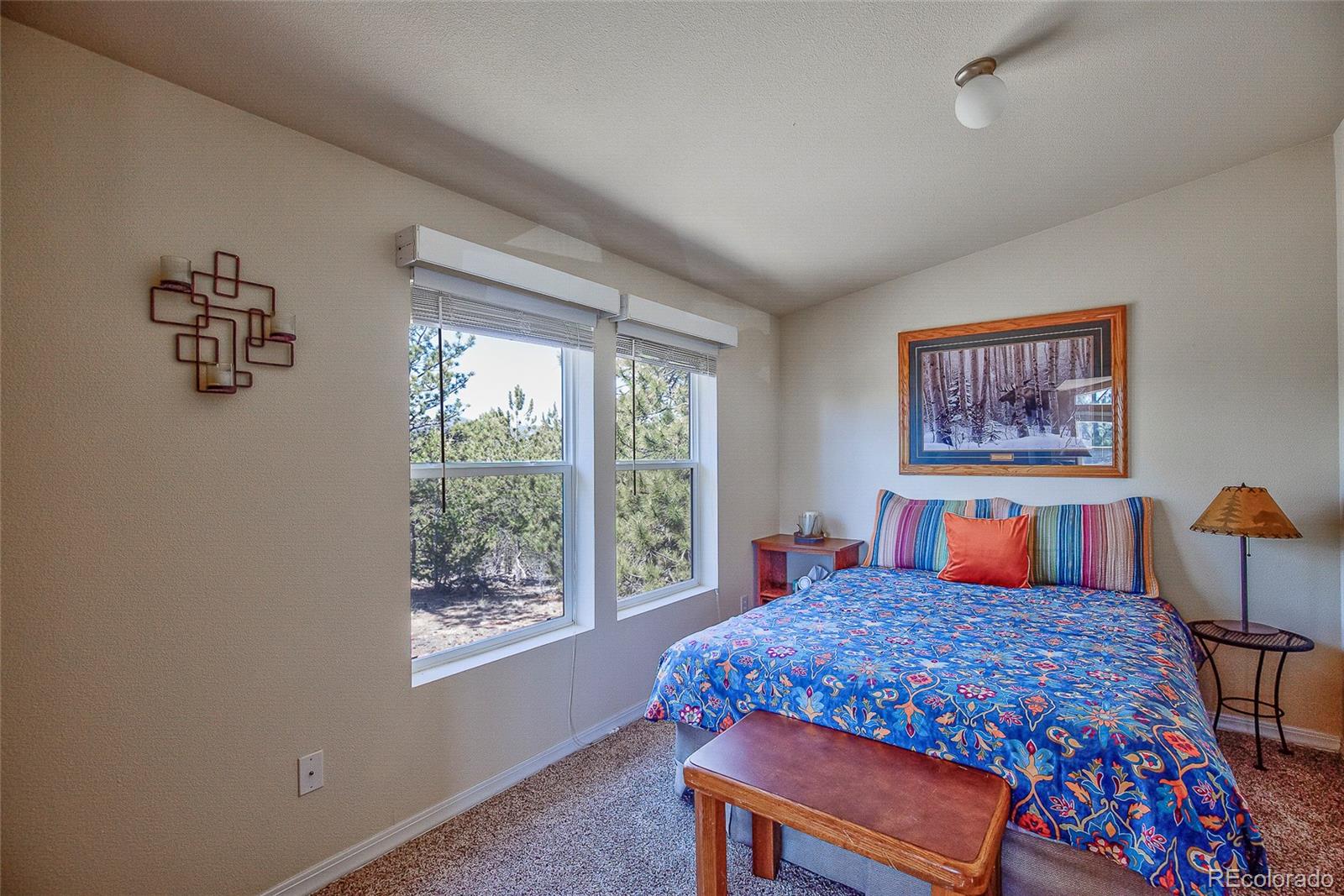 MLS Image #16 for 1258  aspen trail,hartsel, Colorado