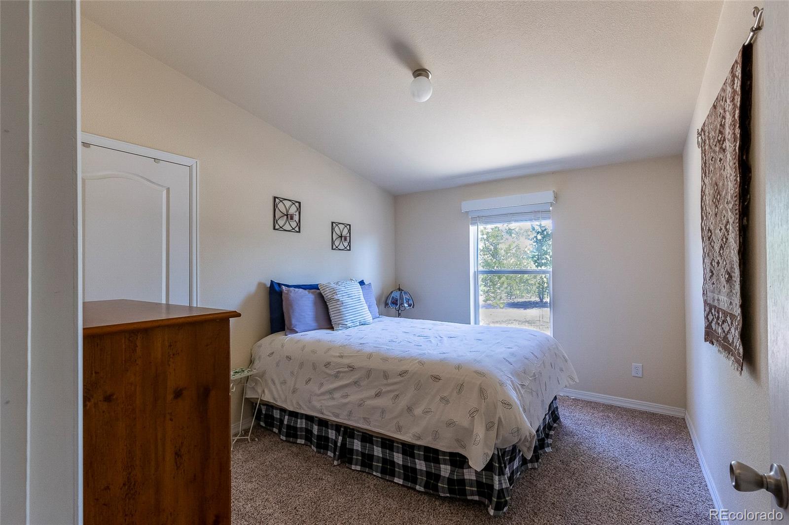 MLS Image #18 for 1258  aspen trail,hartsel, Colorado