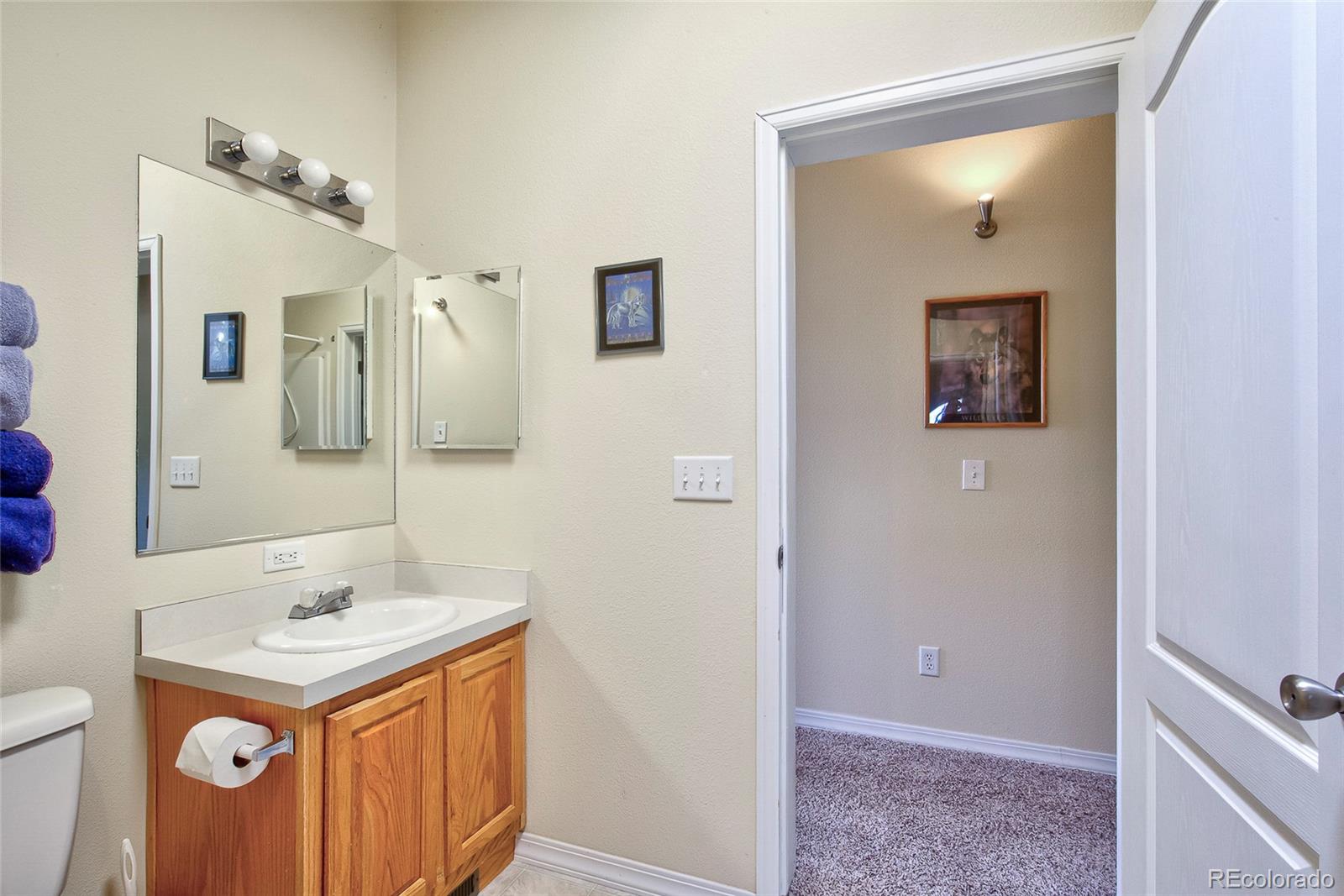 MLS Image #22 for 1258  aspen trail,hartsel, Colorado