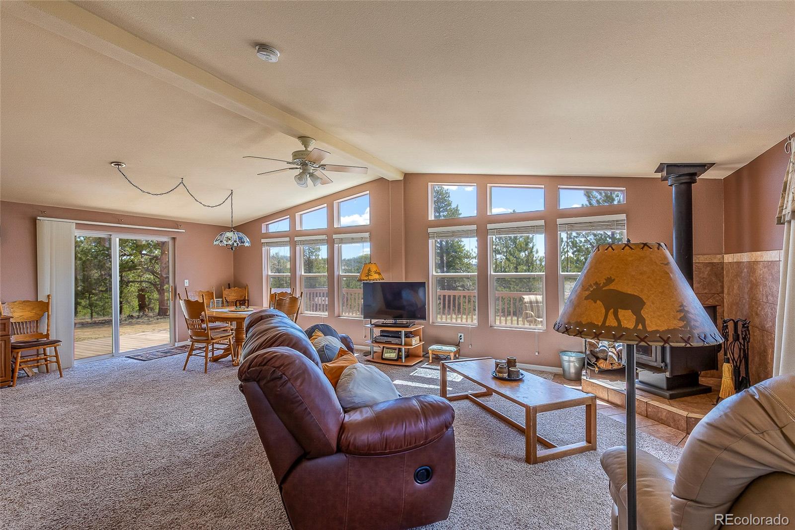 MLS Image #8 for 1258  aspen trail,hartsel, Colorado