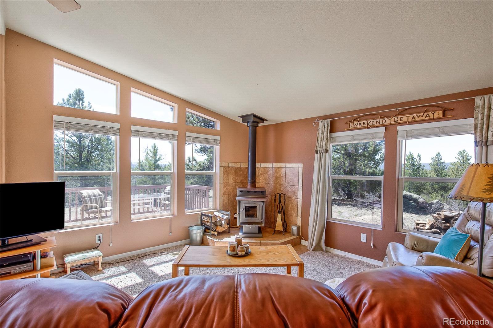 MLS Image #9 for 1258  aspen trail,hartsel, Colorado
