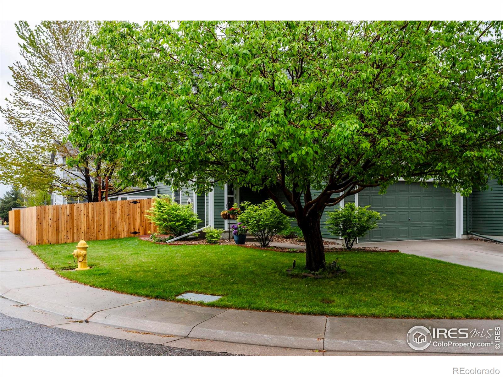 MLS Image #2 for 11040  york street,northglenn, Colorado