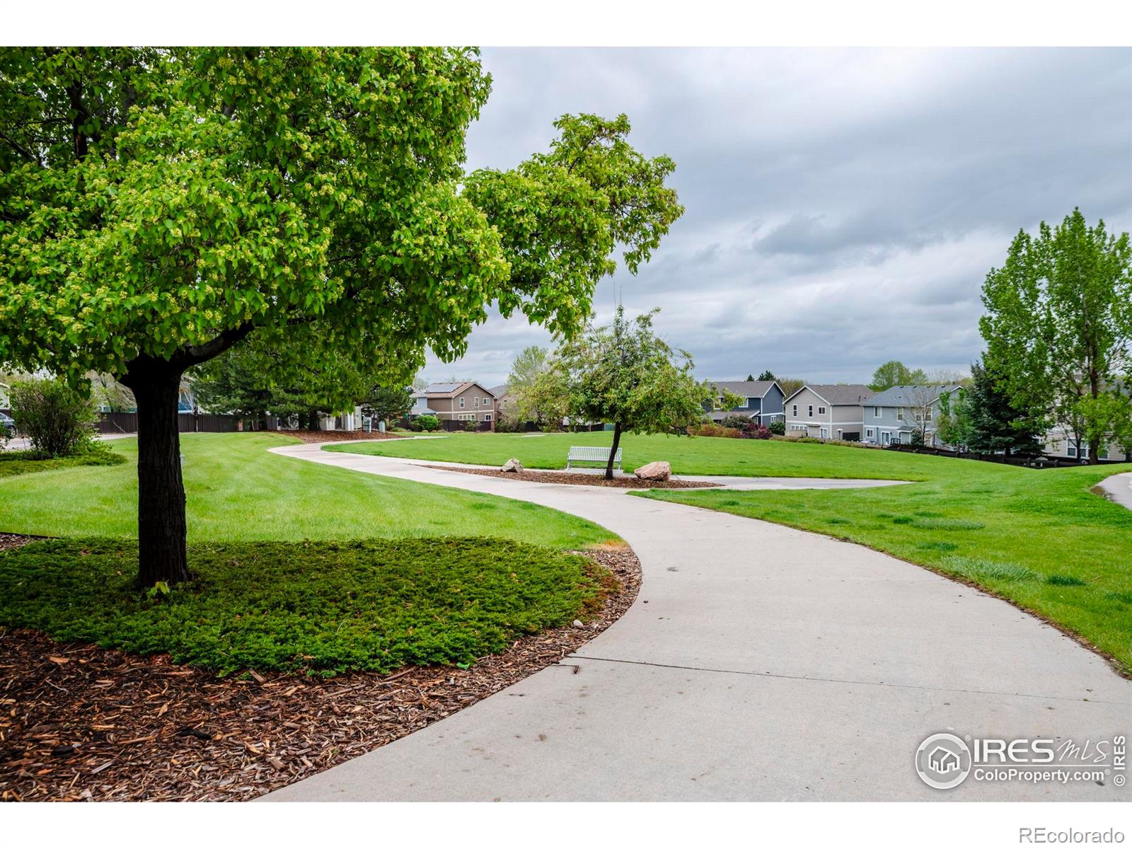 MLS Image #35 for 11040  york street,northglenn, Colorado