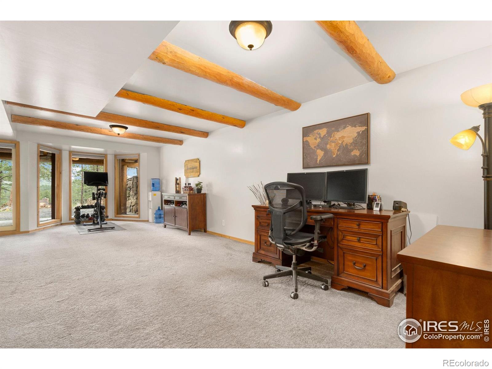 MLS Image #19 for 161  lone wolf road,loveland, Colorado