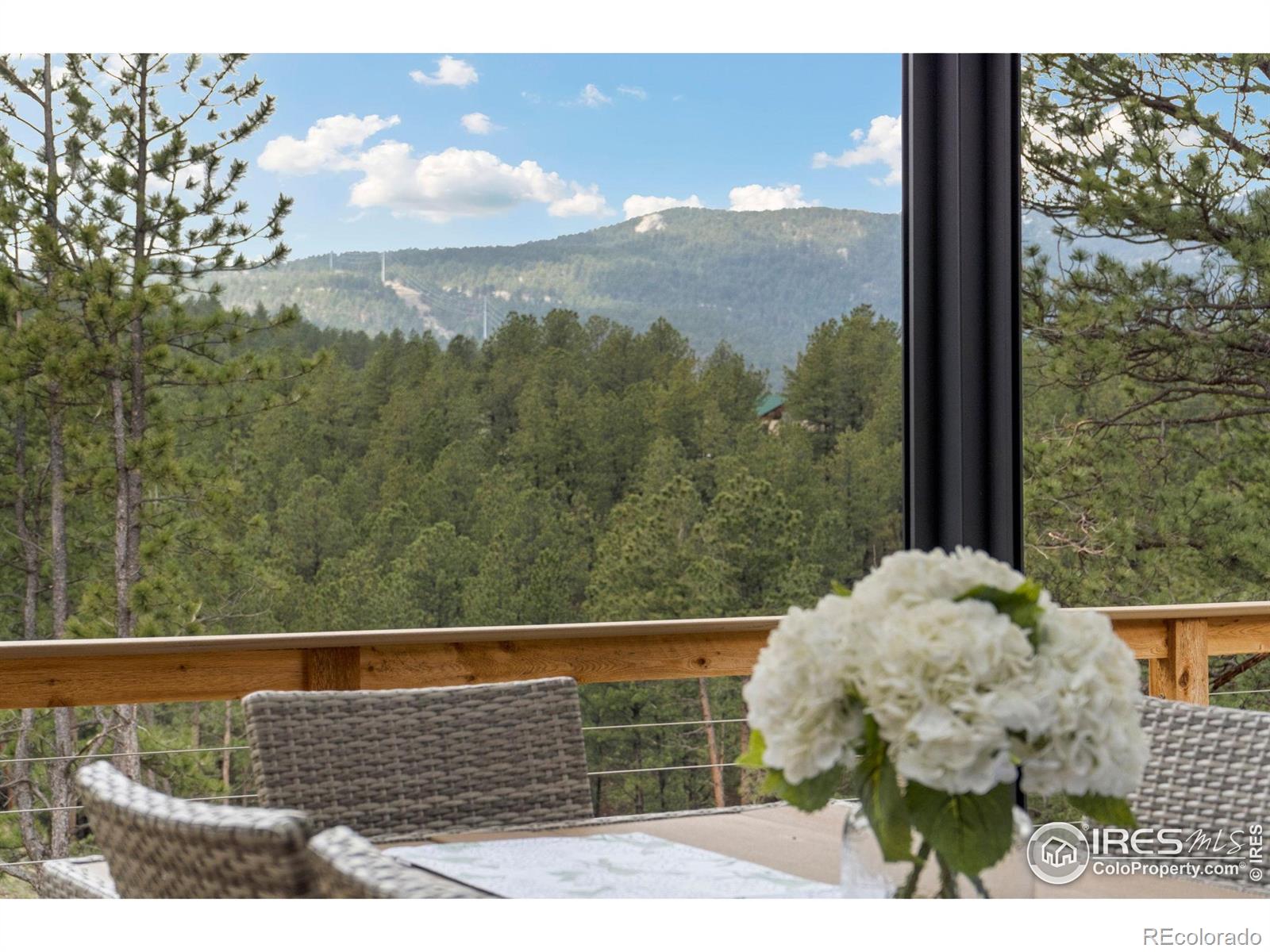 MLS Image #22 for 161  lone wolf road,loveland, Colorado