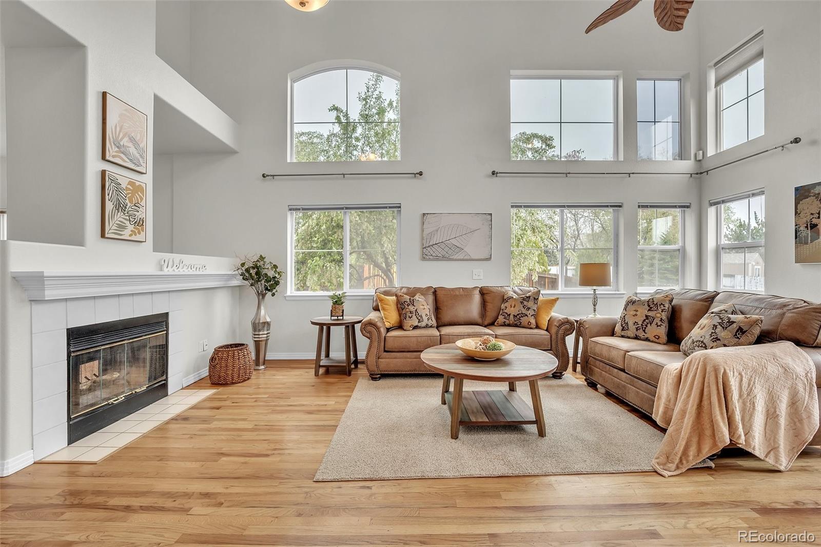 MLS Image #4 for 627  sand creek drive,colorado springs, Colorado