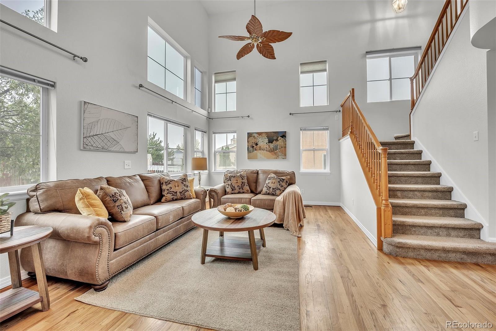 MLS Image #6 for 627  sand creek drive,colorado springs, Colorado