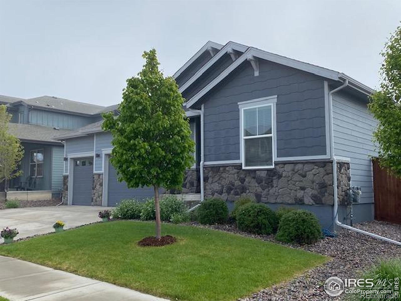 MLS Image #1 for 2137  setting sun drive,windsor, Colorado