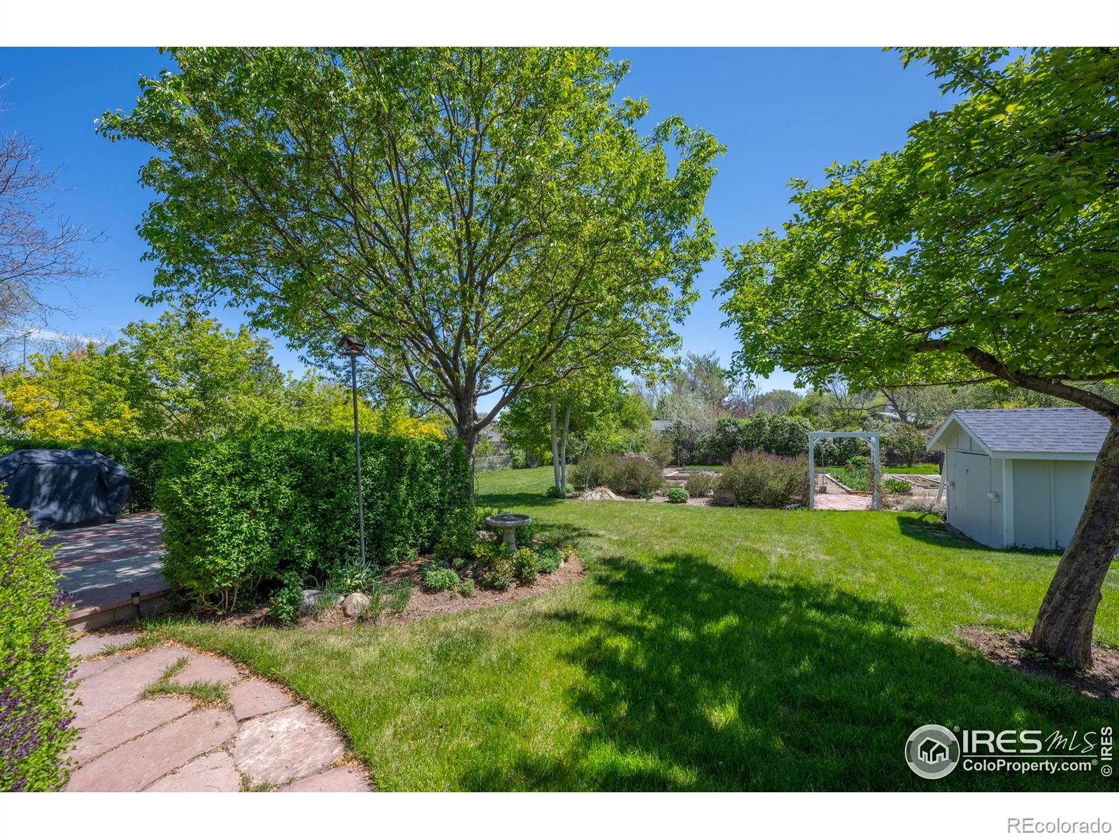 MLS Image #3 for 1322  wicklow street,boulder, Colorado