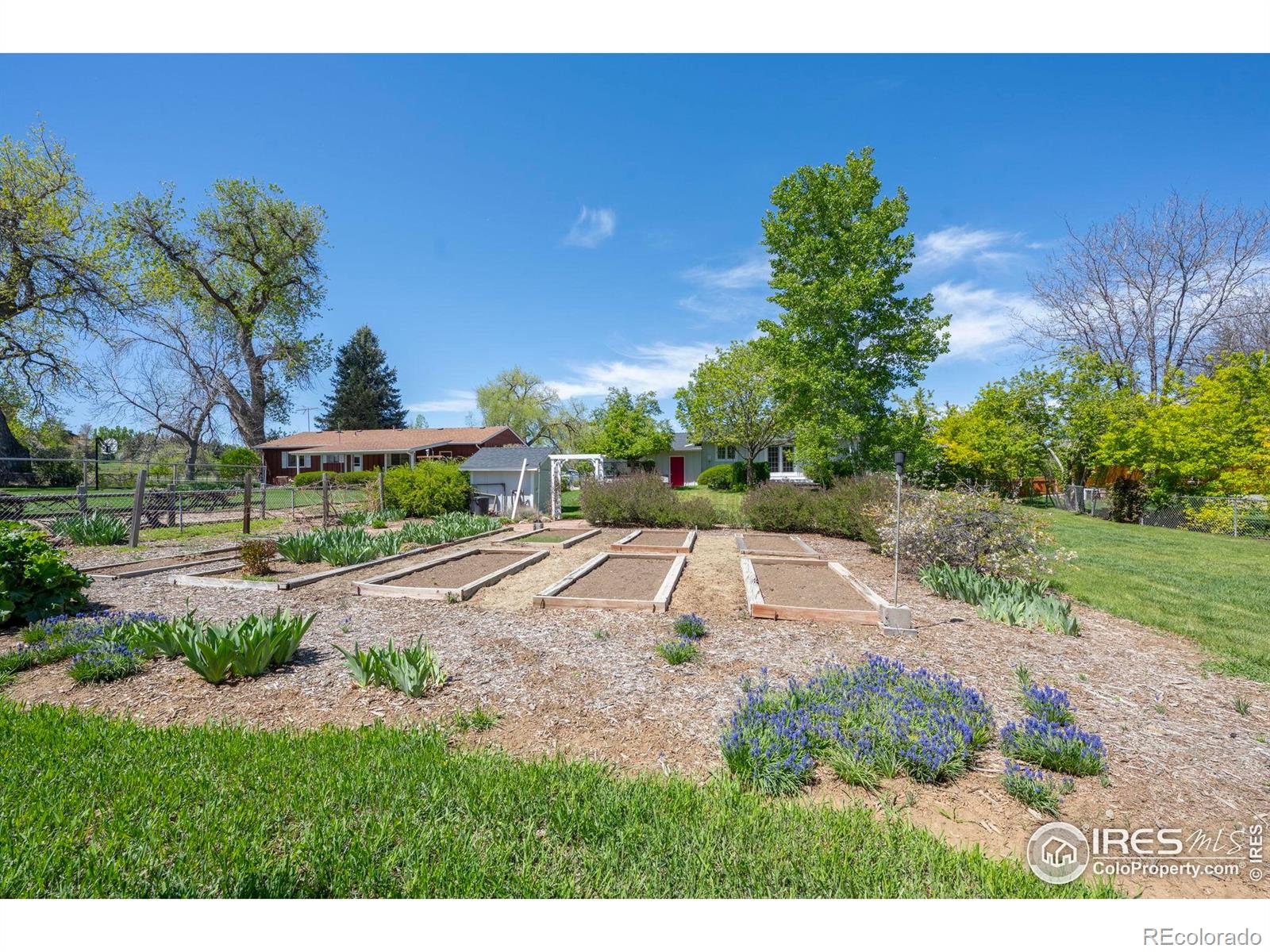 MLS Image #4 for 1322  wicklow street,boulder, Colorado