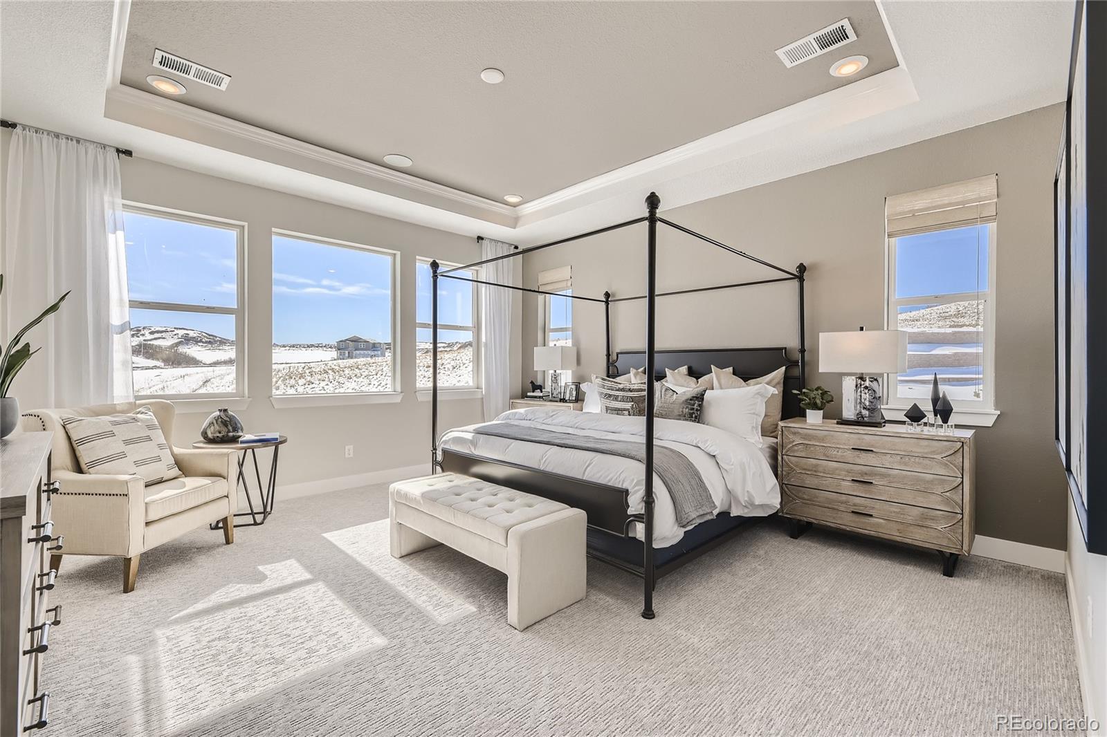 MLS Image #12 for 3327  backdrop court,castle rock, Colorado