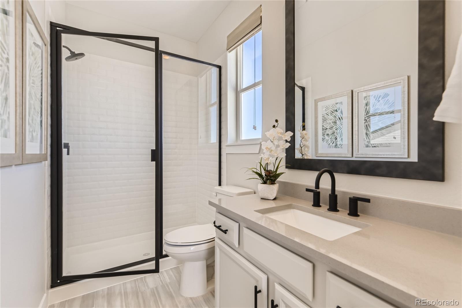 MLS Image #15 for 3327  backdrop court,castle rock, Colorado