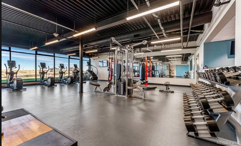MLS Image #24 for 3327  backdrop court,castle rock, Colorado