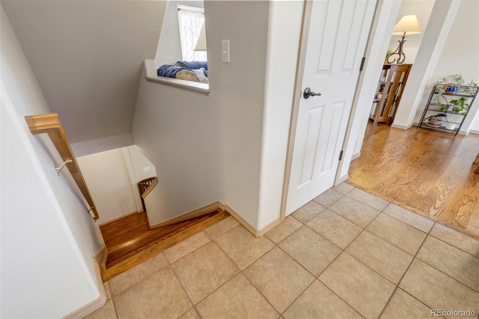 MLS Image #23 for 9140  red columbine drive,colorado springs, Colorado