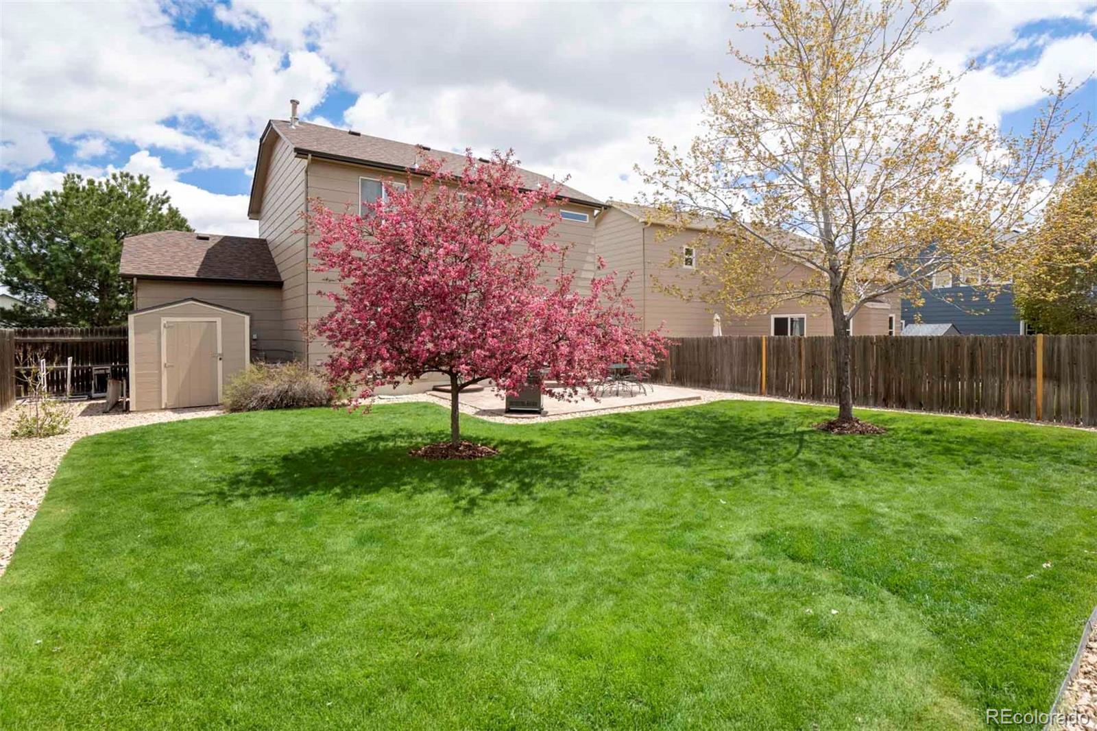MLS Image #42 for 9140  red columbine drive,colorado springs, Colorado