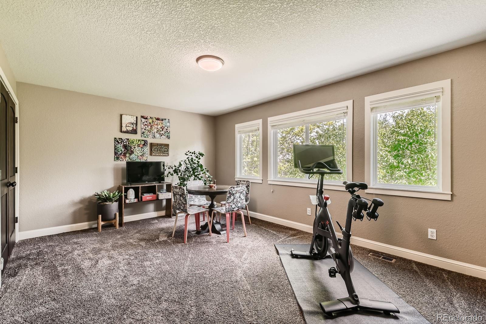 MLS Image #23 for 14118  whitney circle,broomfield, Colorado