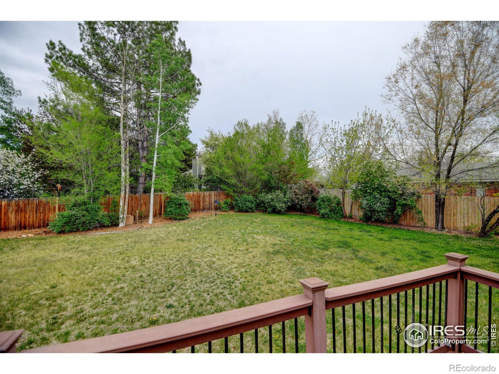 MLS Image #33 for 2428  ridgecrest road,fort collins, Colorado