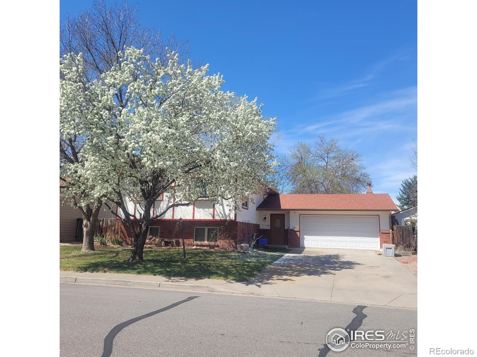CMA Image for 2265  Albany Court,Loveland, Colorado