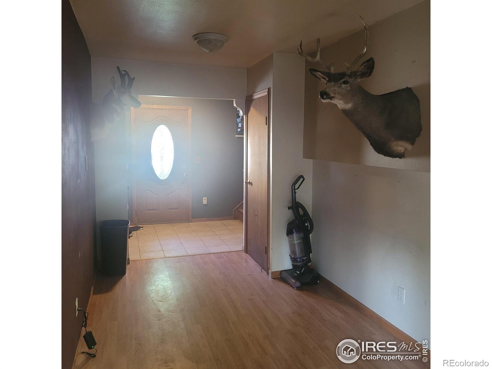 MLS Image #16 for 2265  albany court,loveland, Colorado