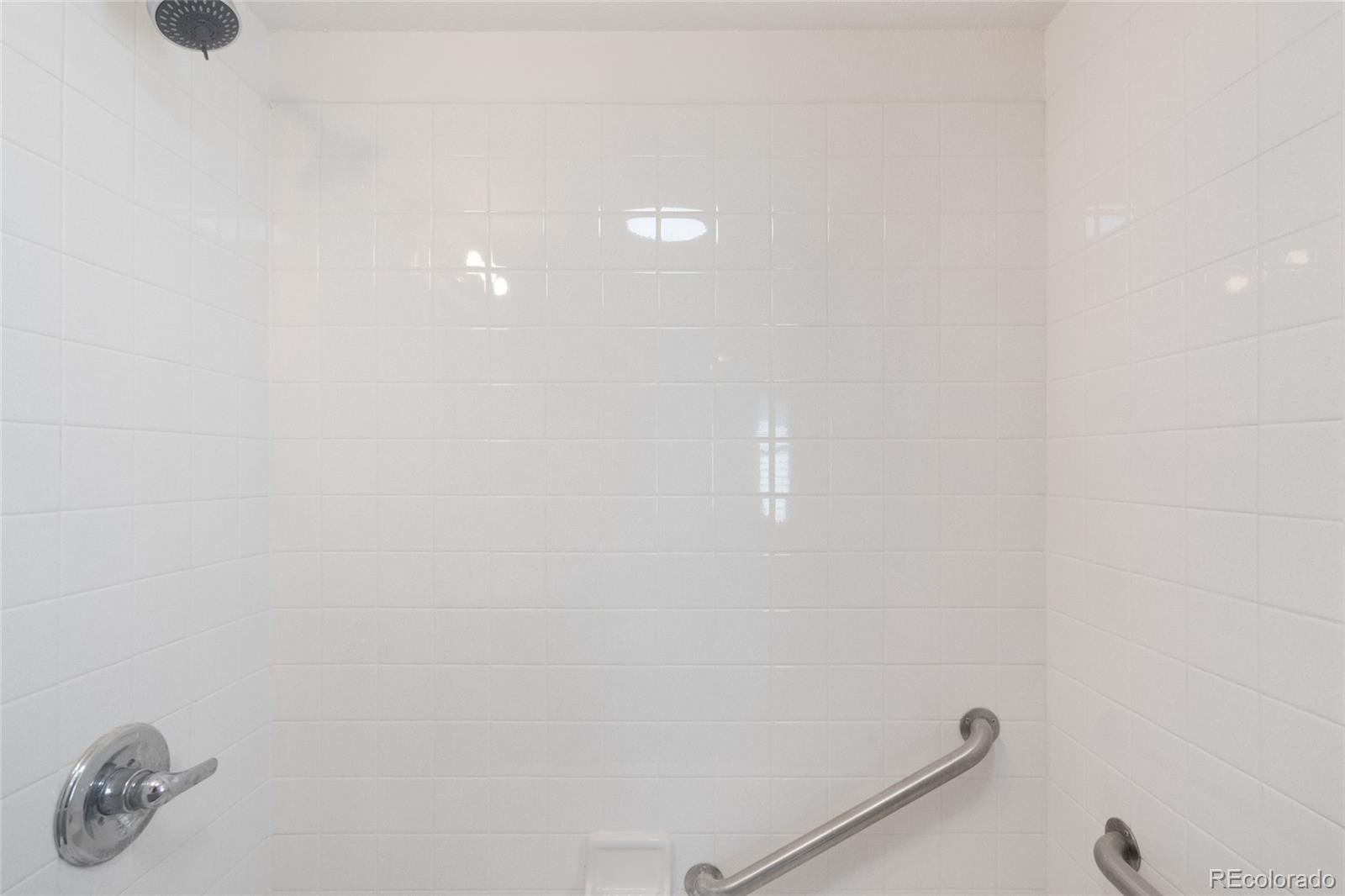 MLS Image #19 for 4636  leaf court,denver, Colorado