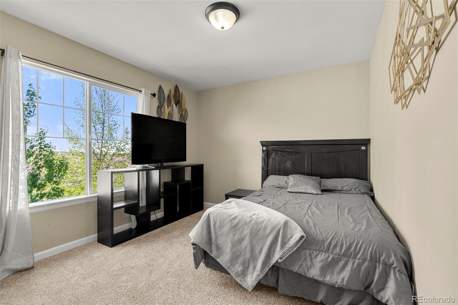MLS Image #15 for 22  apache plume street,brighton, Colorado