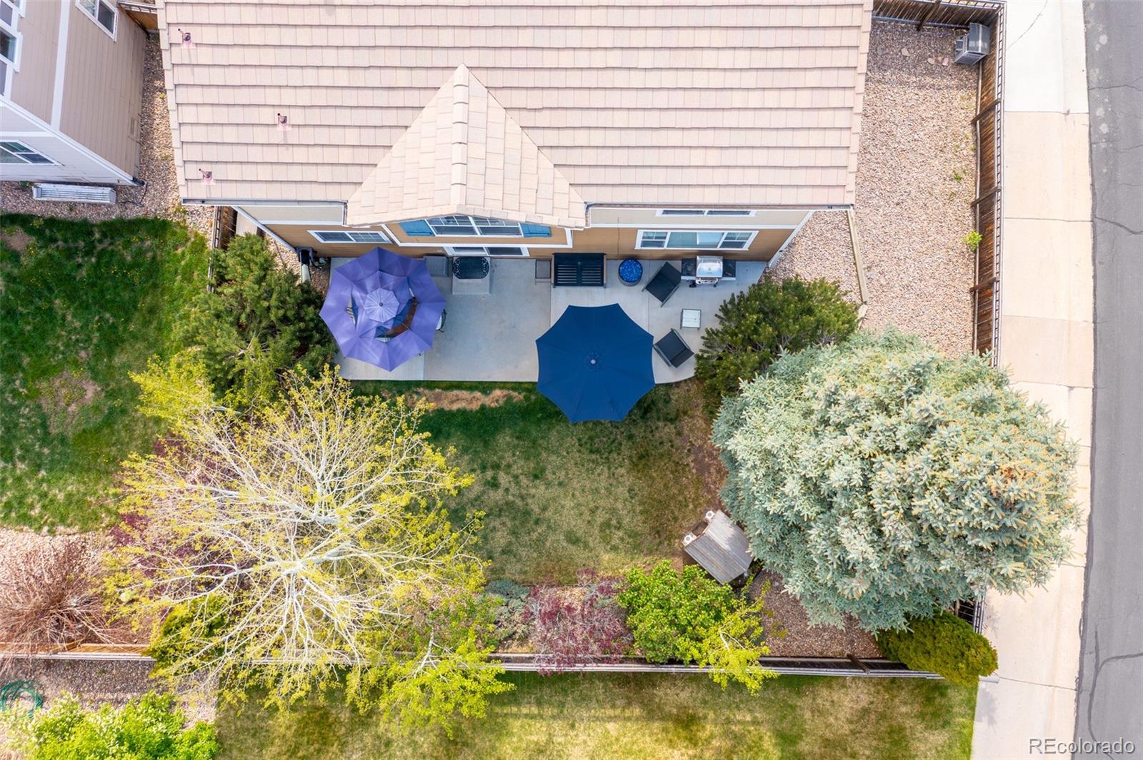 MLS Image #44 for 2736  poplar grove place,castle rock, Colorado